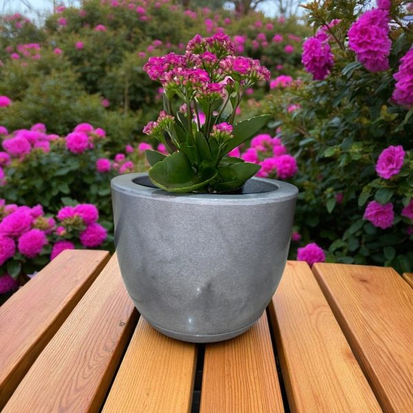 Vaso Bojo Liso 25cm com Prato – Estilo Moderno, Leve e Resistente