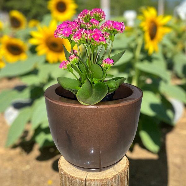 Vaso Bojo Liso 25cm com Prato – Estilo Moderno, Leve e Resistente - Image 2